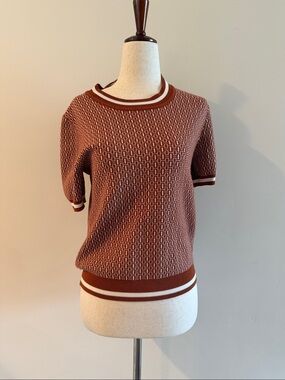 Adrianna Papell Rust and Cream Short Sleeve Knit Top